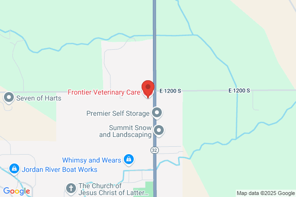Frontier Veterinary Care