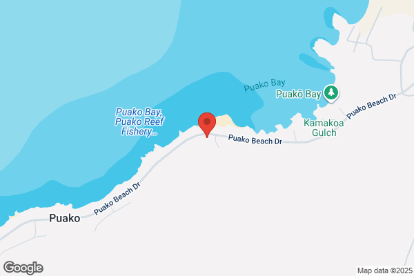 Puako Beach Condominium