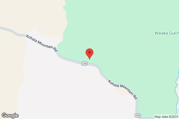 South Kohala Housekeeping