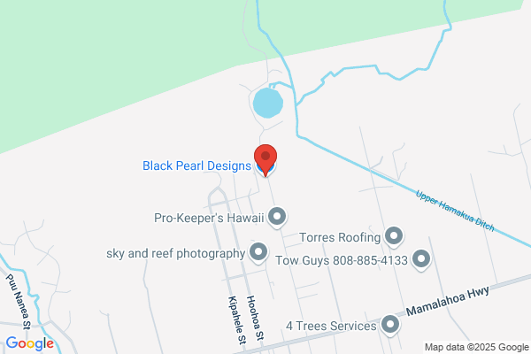 Black Pearl Gallery