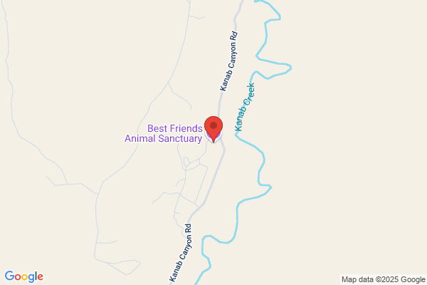 Kanab City, Animal Shelter