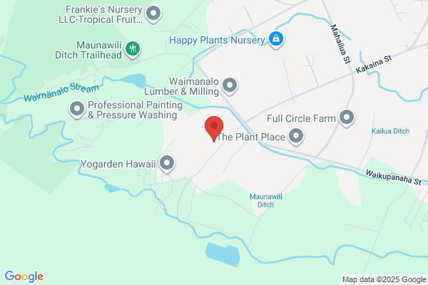 Ultimate Plumbing Inc & Construction