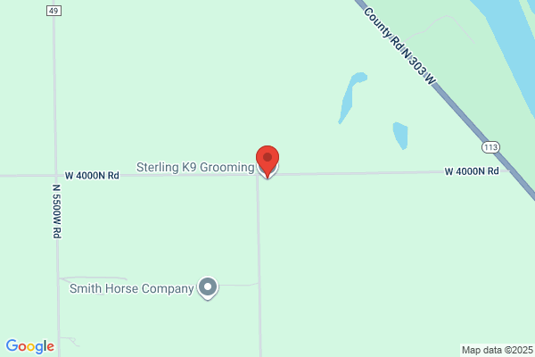 Sterling K-9 Grooming