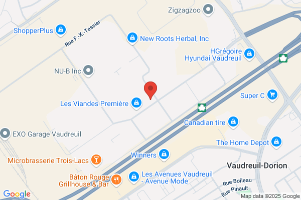 Consolidated Technology Inc