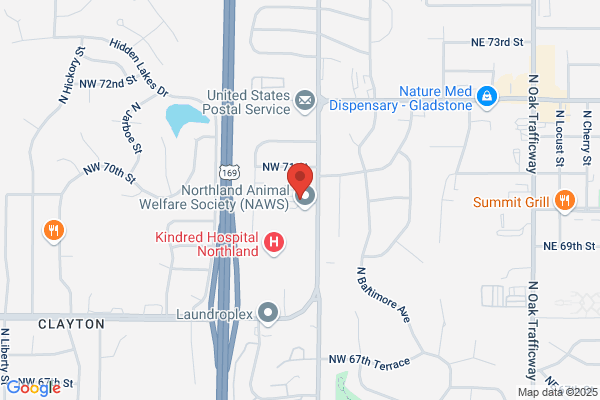 Gladstone Self Storage