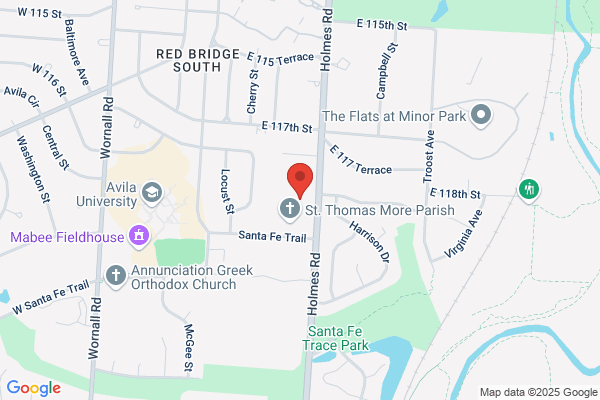 Schools, Saint Thomas More School