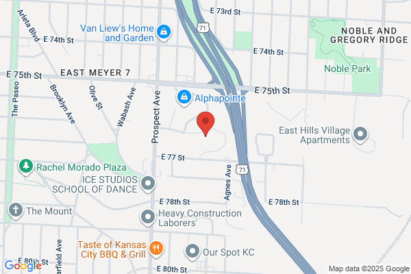 Kansas City Missouri City of, Police Department, Patrol Divisions, Metro Patrol