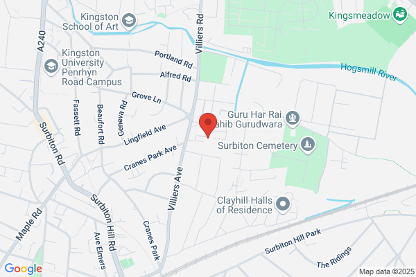 Skilful Pursuit Fractional CMO