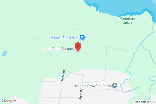 Hawaii Palm Company the