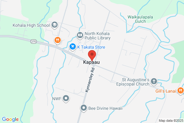 Kohala Mailbox and Things