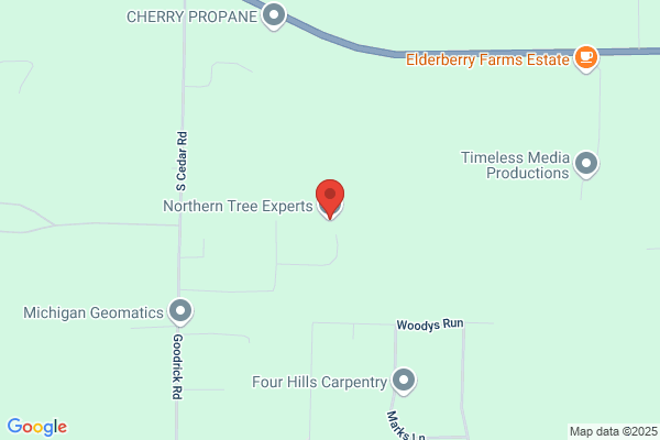 Northern Tree Experts