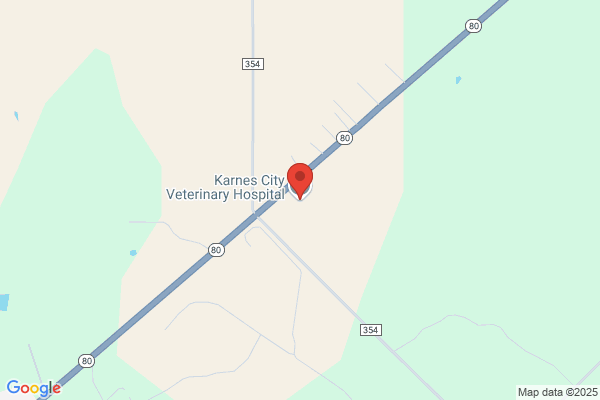 Karnes City Veterinary Hospital