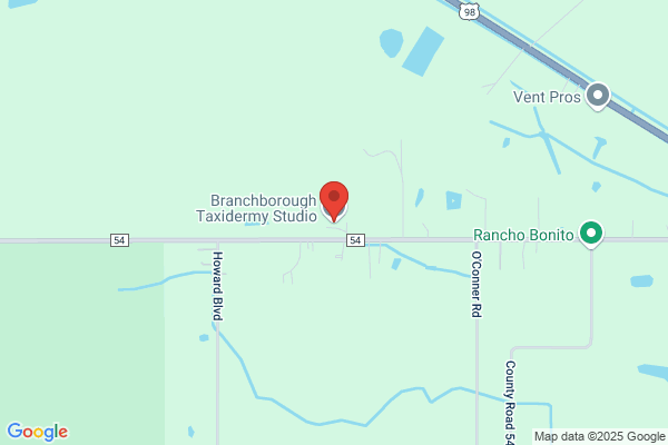Branchborough Taxidermy Studio