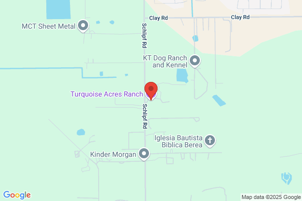 Turquoise Acres Ranch