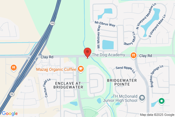 The Dog Academy