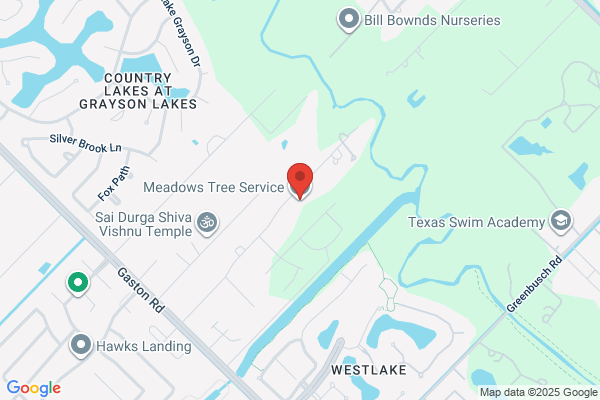 Meadows Tree Service