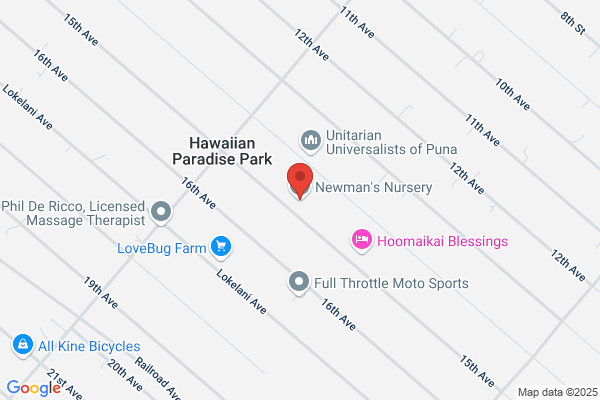 Newmans Nursery Inc