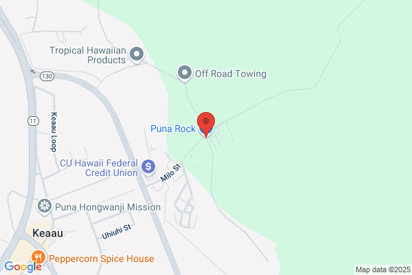Puna Woods