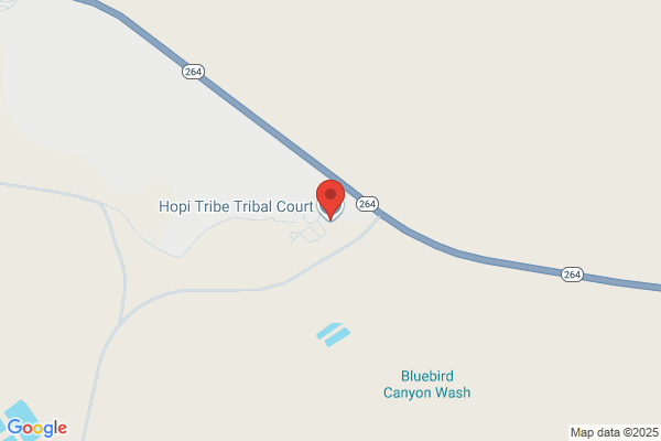 Hopi Tribe Childrens Court