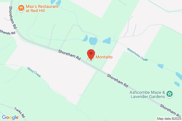 Montalto Brothers