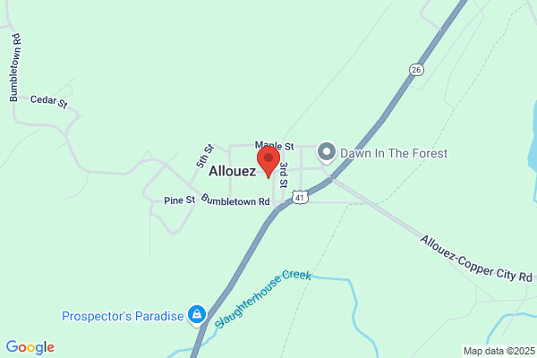 Allouez Automotive Inc