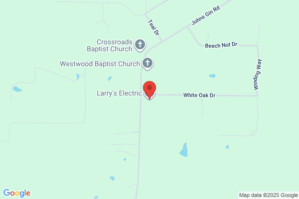 LARRY'S ELECTRIC