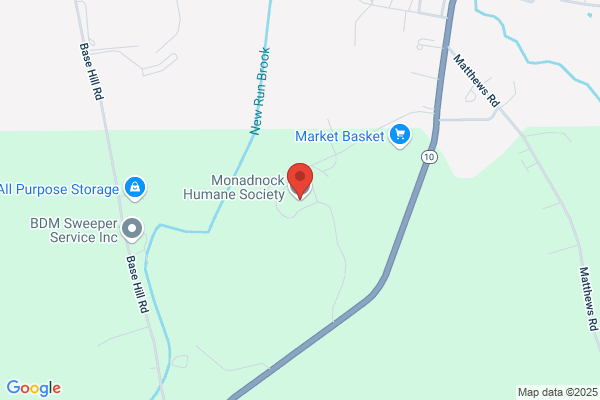 Animal Tracks At Monadnock Humane Society
