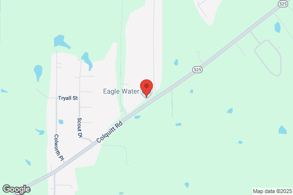 Eagle Water