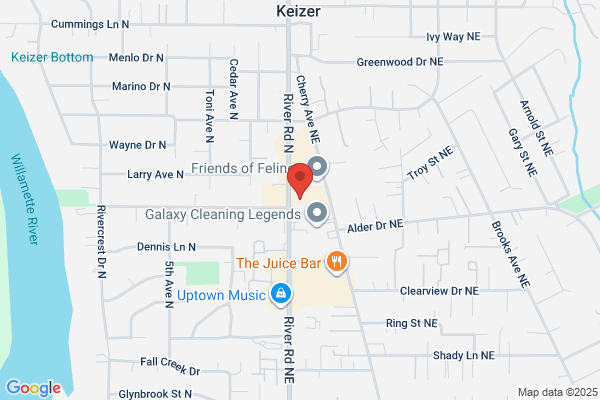 AutoZone Auto Parts