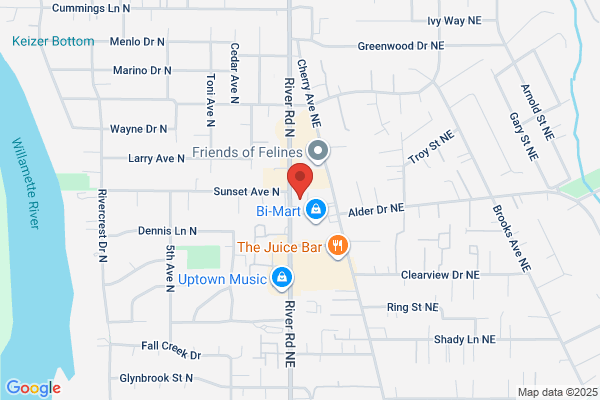 Multiline Insurance Agency