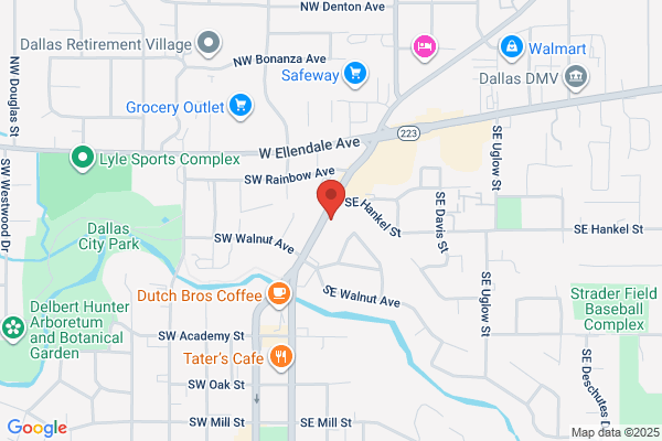 Developmental Systems Inc