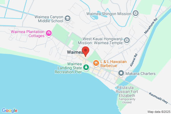 Waimea Town Celebration
