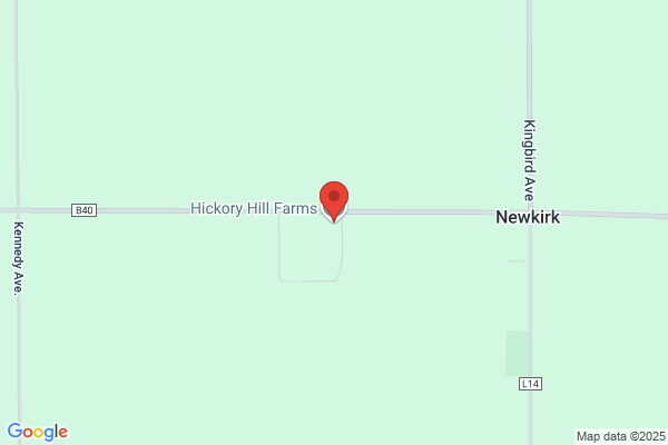 Hickory Farms