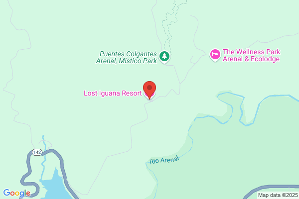 Lost Iguana the