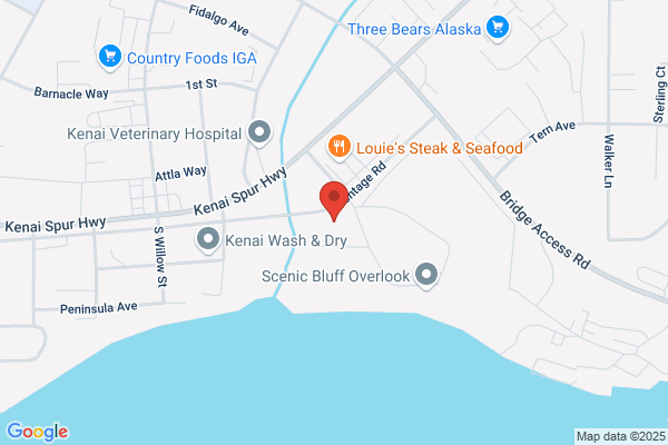Peninsula Ear Nose & Throat Clinic Inc