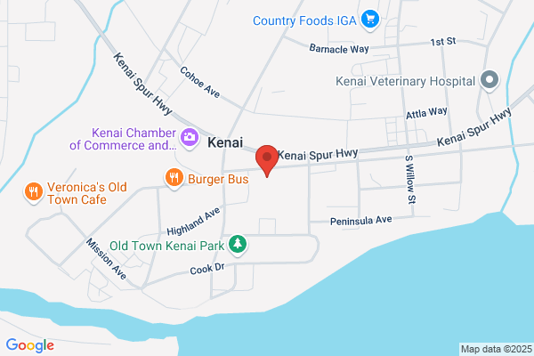Kenai Medical Center Inc