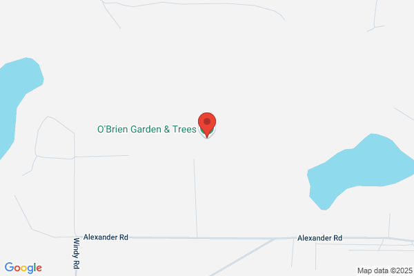 Obrien Garden & Trees