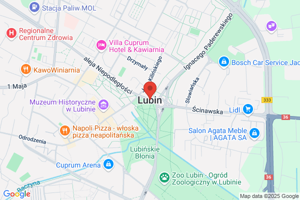 Lubin Peter