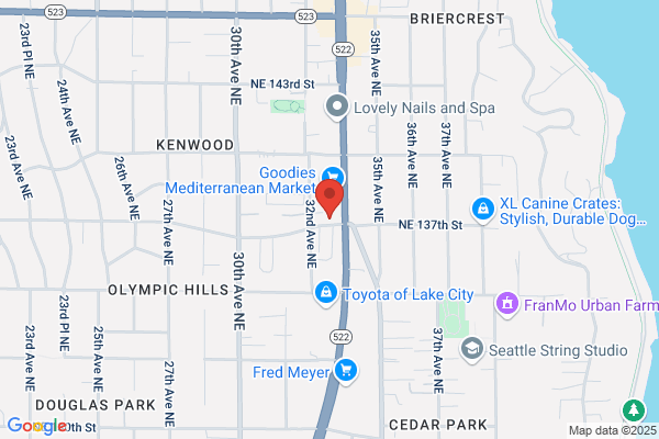 Elmer's Auto Body & Painting