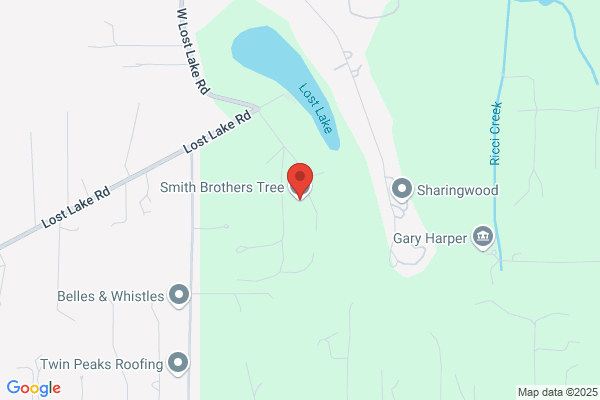 Smith Brothers Pruning Service