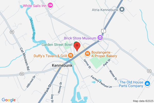 Reigning Cats & Dogs Grooming & Pet Supplies