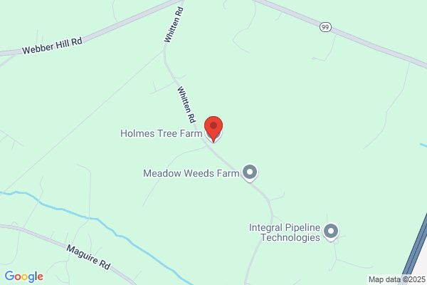 Holmes Tree Farm