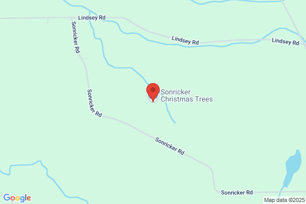 Renaissance Christmas Farm