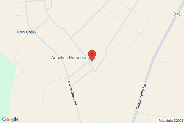 Angelica Nurseries Inc