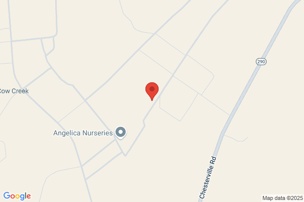 Nursery Cargo Inc