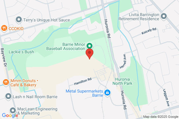 Risk Control Investigative Services