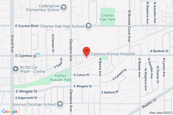 Cypress Animal Hospital