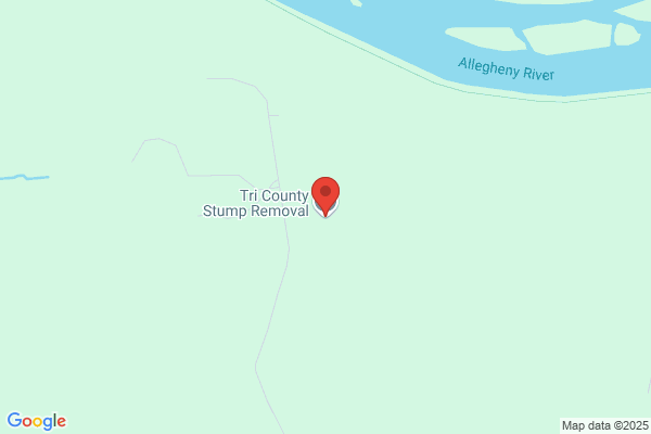 Tri County Stump Removal