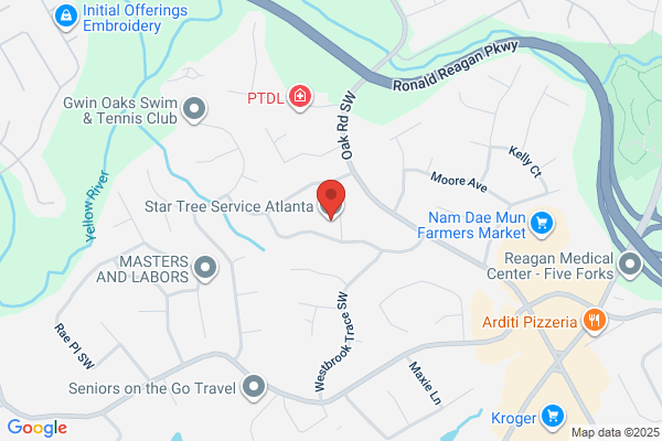 Tree Stars Services Marietta