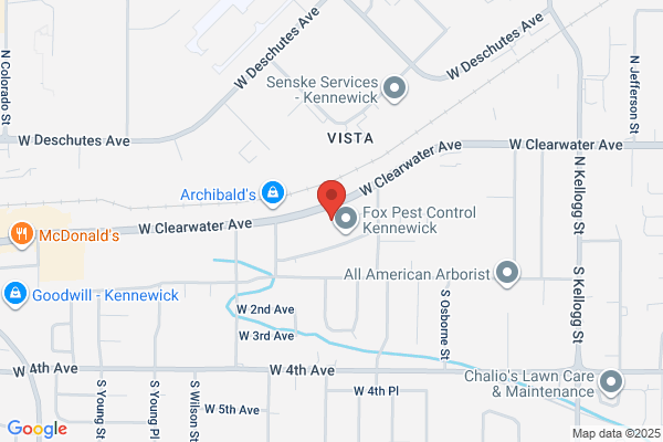 Celski & Associates